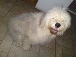 DSC01023.JPG