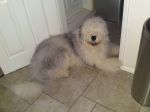 DSC01863.JPG
