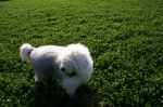 walkies_0073.jpg