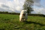 walkies_0090.jpg