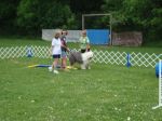DSC00131.jpg
