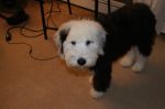 DSC00041.JPG