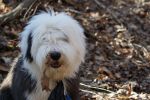 DSC00576.JPG