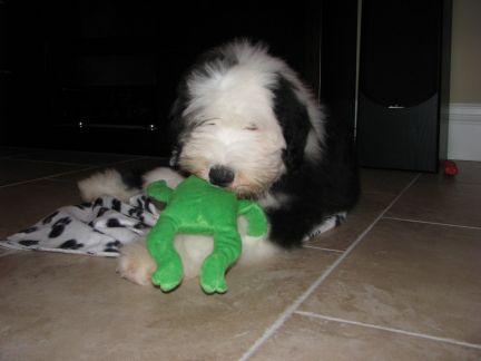 Click to view full size image