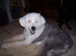Remo - So pretty 14 years old.jpg