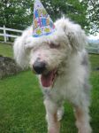 Remo Birthday 044.jpg