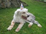 Remo Birthday 053.jpg