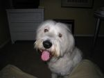 Farley 0810.JPG