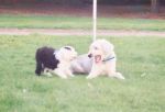 June 2008 056.jpg