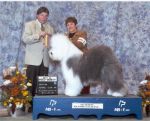 Best of Breed Agathon.jpg