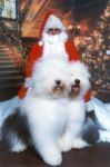 Christmas 1999 Avatar.jpg