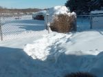 Dog run Path.jpg