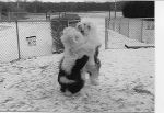 Melody & Isaac Playing in Snow.jpg
