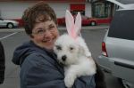 Oliver_s Easter Outfit.jpg