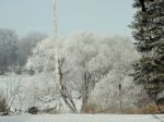DSC00380.JPG