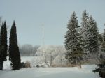 DSC00381.JPG