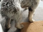 DSC00415.JPG