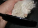 DSC00829.JPG