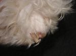 DSC00830.JPG