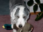 Got my duck.jpg
