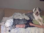IMG_20110523_134944.jpg