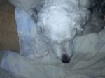 IMG_20110523_135004.jpg