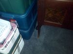 IMG_20110626_103712.jpg