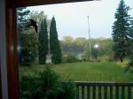 Our soggy backyard.jpg