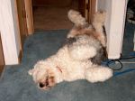 ThePas in full sleep 1.JPG