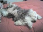 13-03-07_0706.jpg