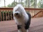 Winnie 2 3-31-09.JPG