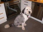 Haircut1!.jpg