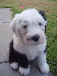 8 weeks 7.jpg