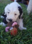 8 weeks 9.JPG