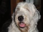 2008_0108theboys0002.JPG