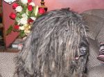 2008_0108theboys0005.JPG