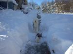 winter storm 2010 007.JPG