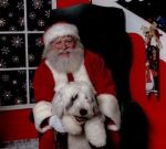 roxiechristmas2.jpg