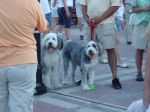 DSC01483.JPG