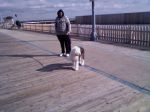 JennyBoardwalk.jpg