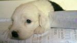 4 weeks 005.JPG