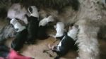 Kismets First Photo.JPG