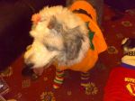 billy first halloween.jpg