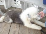 DSC00585.JPG