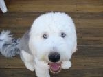 DSC01405a.JPG