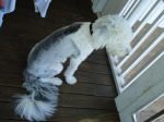 DSC01494.JPG