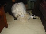 DSC01759.JPG