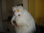 DSC02027.JPG