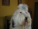 DSC02034.JPG
