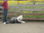 DSC02050.JPG